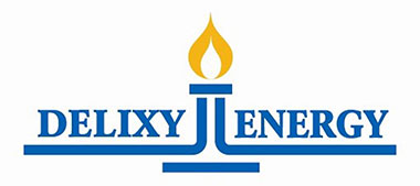 Delixy Holdings Ltd logo