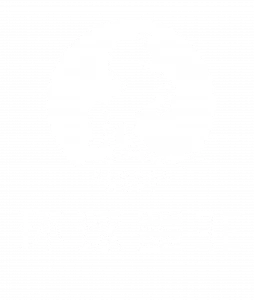 Global Mofy AI Ltd logo