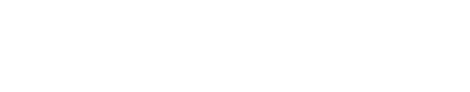 RAND CAPITAL CORP logo