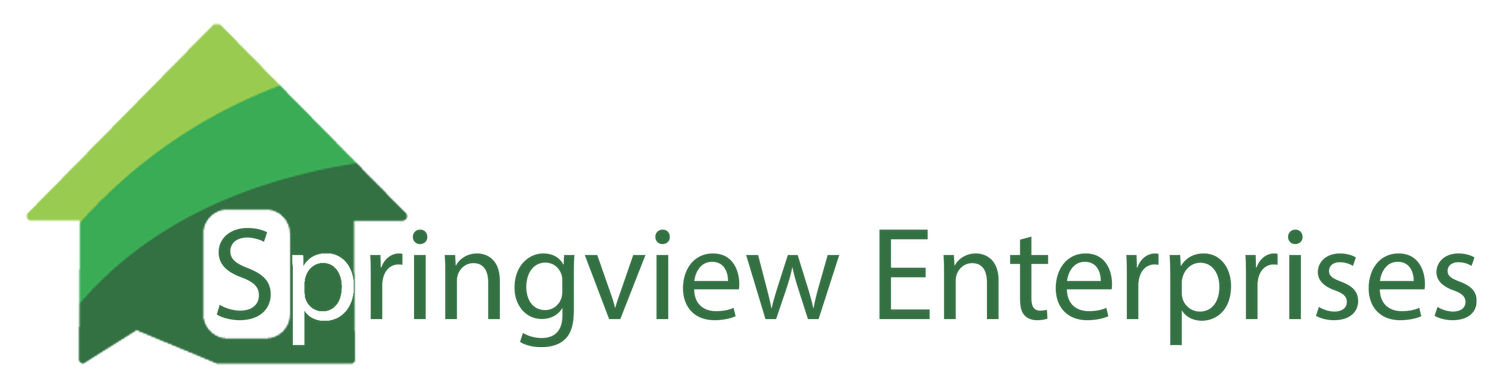 SPRINGVIEW HOLDINGS LTD logo