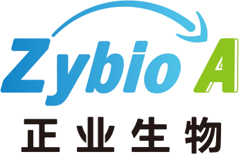 Zhengye Biotechnology Holding Ltd logo